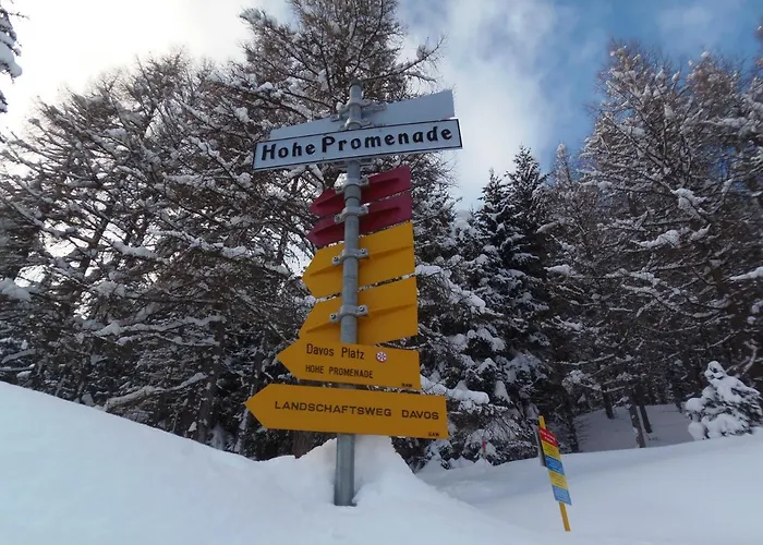 Apartment Davosblick Davos